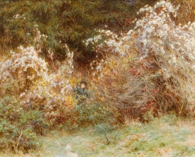 Travelers Joy: A Surrey Hedgerow (wc na papíře) od Helen Allingham