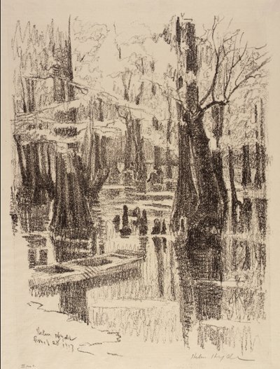 Cypřišová bažina od Helen Hyde