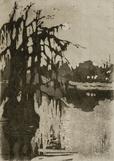 Cypřišové stromy od Helen Hyde