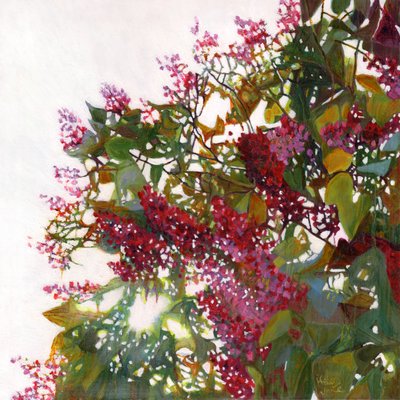 Záře, 2015 od Helen White
