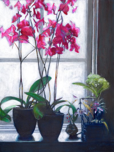 Amsterdam Window, 2021 od Helen White
