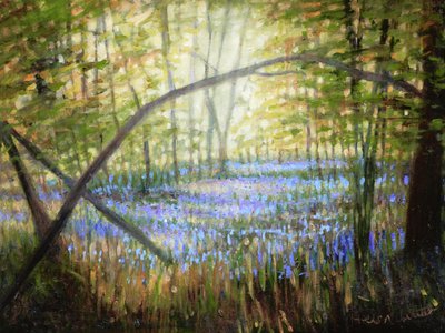Bluebell Glade, 2024 (olej na plátně) od Helen White