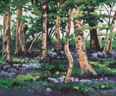 Bluebell wood, 2009, od Helen White