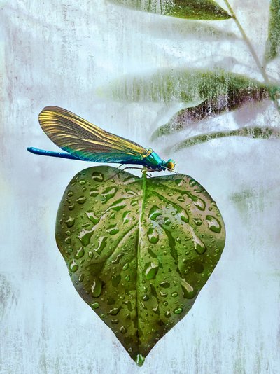 Letecká návštěva, 2019 od Helen White