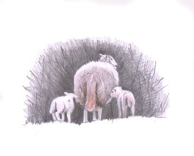 Sledujte, 2016, (kresba tužkou) od Helen White