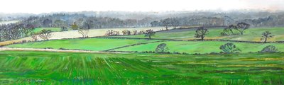 Z vrcholu Farley Hill, 2008 od Helen White