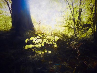 Posvátné místo, 2018 od Helen White
