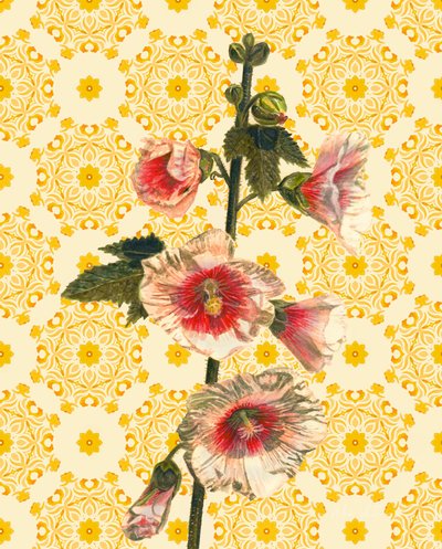Hollyhocks on Sunshine, 2021 (akvarel) od Helen White