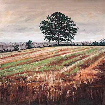 Pozdě odpoledne pole, 2009 od Helen White