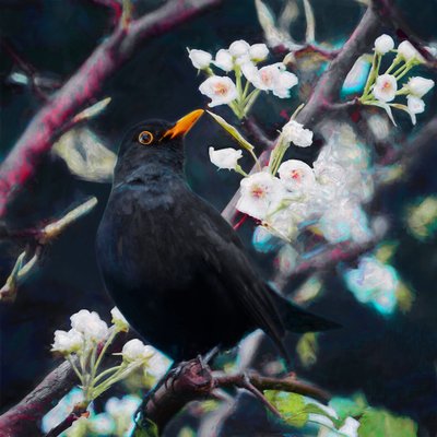 Lord of the Summer Song, 2019 od Helen White