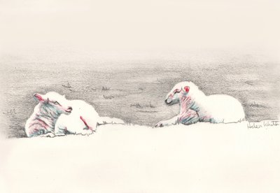 Napping, 2016, (kresba tužkou) od Helen White