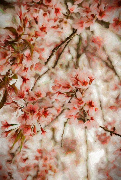 Orientalis, 2020 od Helen White