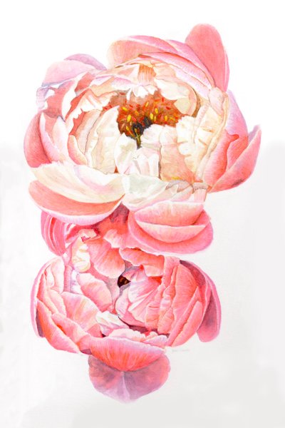  od Helen White