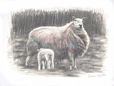 Proud, 2016, (kresba tužkou) od Helen White