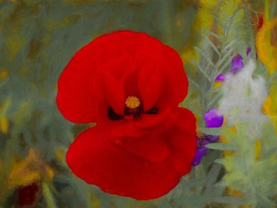 Scarlet, 2019 od Helen White