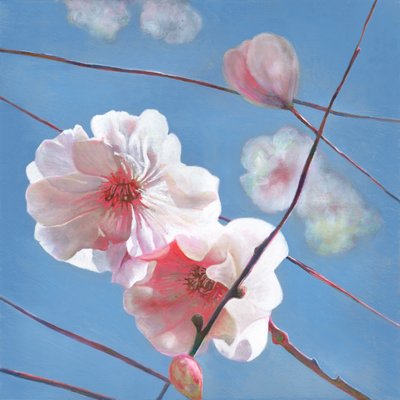 Shining Start, 2015 od Helen White