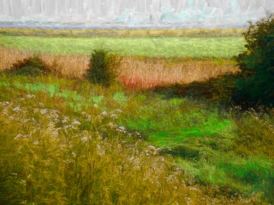 Letní louka, 2019 od Helen White