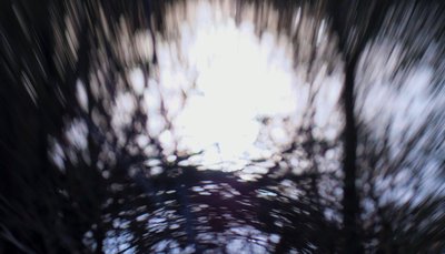 Vodní tapiserie III, 2017, (manipulovaná fotografie) od Helen White