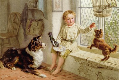 Přátelé od Helena J. Maguire
