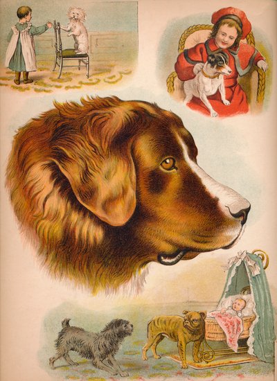 Pes, c1900 od Helena J. Maguire