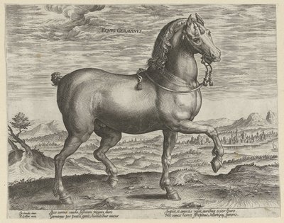 Hřebec z Německa Eqvvs Germanvs (název na objektu) Plemena koní z královské stáje Dona Juana z Rakouska (název seriálu) Equile Ioannis Austriaci Caroli (název série) od Hendrick Goltzius (possibly)