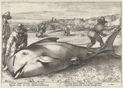 Uvízlý pilot velryba na pláži v Zandvoort, 1594 od Hendrick Goltzius (workshop of)