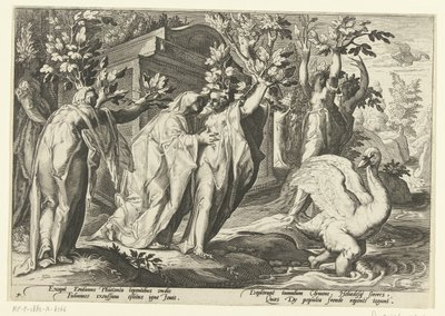 Phaëthonovy sestry se promění v topoly a jeho přítel v labuť Ovidiovy metamorfózy (název série) od Hendrick Goltzius (workshop of)