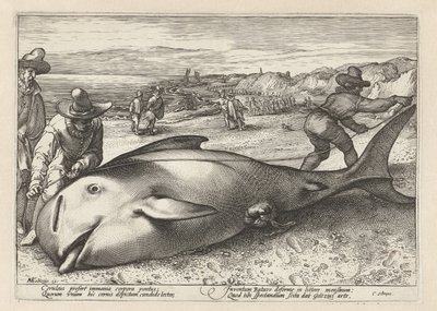 Dva muži měří plážovou velrybu od Hendrick Goltzius (workshop of)