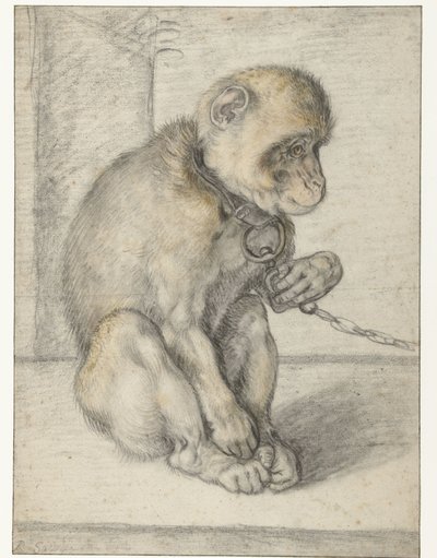 Sedící opice na řetězu Opice na řetězu, sedící od Hendrick Goltzius