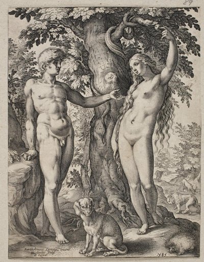 Adam a Eva od Hendrick Goltzius