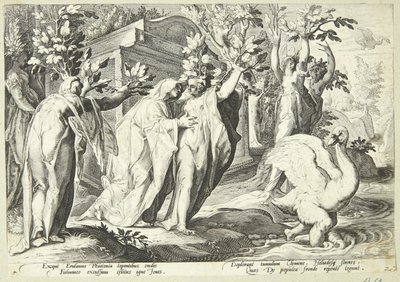 Phaetonovy sestry se promění v topoly a Cygnus v labuť od Hendrick Goltzius