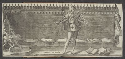 Ohlašovat Původ a krátká historie hrabat Hollandt Zeelandt a de Vrieslandt (název série) Hrabata a hraběnky z Holandska (název série) od Hendrick Goltzius