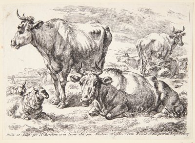 Portrét člena rodiny Outových. Cornelis Out (?) od Hendrick Goltzius