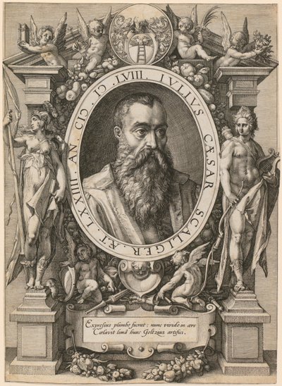 Portrét Julia Caesara Scaligera od Hendrick Goltzius