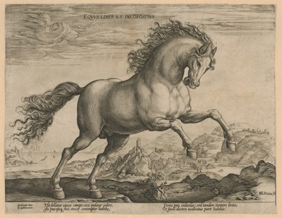 divoký kůň Eqvvs liber et incompǒsitvs (název na objektu) Plemena koní z královské stáje Dona Juana z Rakouska (název seriálu) od Hendrick Goltzius