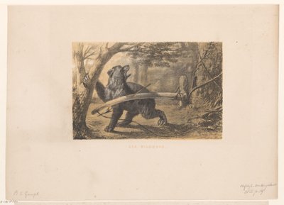 medvěd v pasti Wildbow (název na objektu) od Hendrik Adriaan Christiaan Dekker