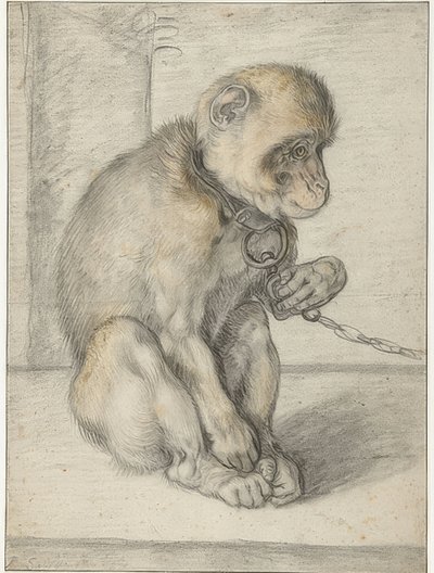 Sedící opice na řetězu. 1592-1602 od Hendrik Goltzius