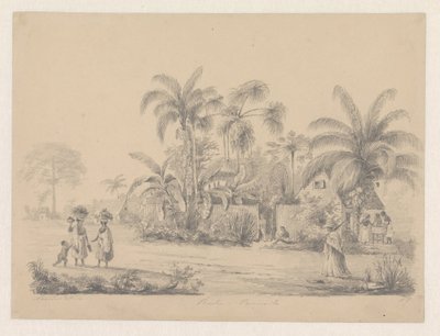 Pohled na ulici kousek od Paramaribo od Hendrik Huygens