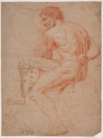 Studie mužského modelu od Hendrik Krock