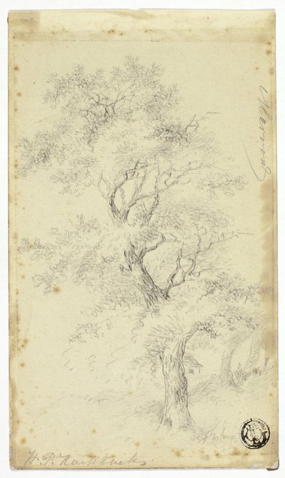 Merron od Hendrik Pieter Koekkoek