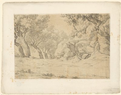 Avenue se zarostlými skalami Tentamina Lithographica (název série) Italské krajiny (název série) od Hendrik Voogd