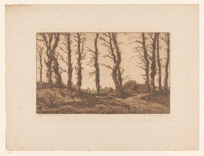 Oud Blaricummerweg (původní název na objektu) od Hendrik Weegewijs (signed by artist)