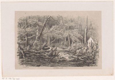 Stromy spadlé na Jacobalaanu po bouři z 28. května 1860 Jacobalaan (název na objektu) Album deseti litografických skic, zobrazujících Tooneelena zkázy, rozrušeného bouří z 28. května 1860 v Gravenhaagsche Bosch, od Hendrik Wilhelmus Last