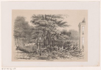 Strom spadl poblíž Voorhoutu po bouři 28. května 1860 Voorhout (název na objektu) Album deseti litografických skic, zobrazujících Tooneelena zkázy, rozrušeného bouří z 28. května 1860 v Gravenhaagsche Bosch v Schev od Hendrik Wilhelmus Last