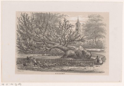 Strom spadl u Koekampu po bouři z 28. května 1860 Koekamp (název na objektu) Album deseti litografických skic, zobrazujících Tooneelena zkázy, rozrušeného bouří z 28. května 1860 v Gravenhaagsche Bosch, v Sche od Hendrik Wilhelmus Last