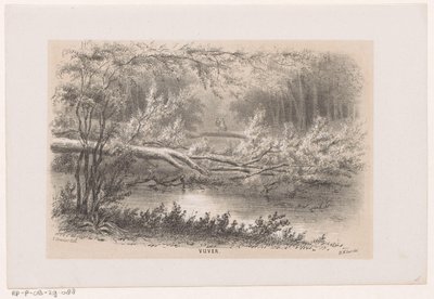 Strom spadl, po bouři 28. května 1860 Rybník (název na objektu) Album deseti litografických skic, zobrazujících Tooneelena zkázy, rozrušeného bouří z 28. května 1860 v Gravenhaagsche Bosch, ve Scheveningenu atd. ( od Hendrik Wilhelmus Last