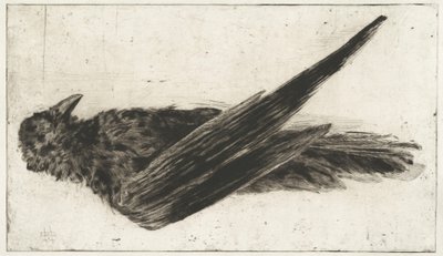 Velký visící havran od Henri-Charles Guérard