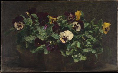 Zátiší s maceškami od Henri Fantin-Latour