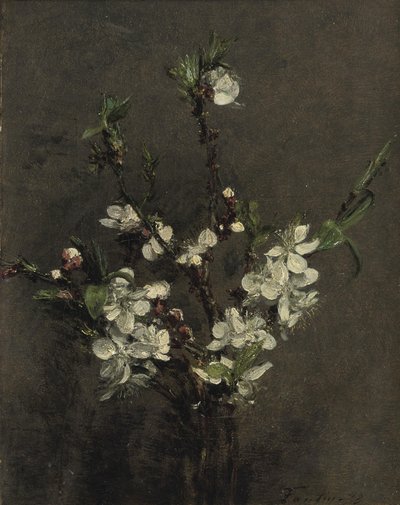 Květiny ovocných stromů od Ignace Henri Jean Fantin-Latour