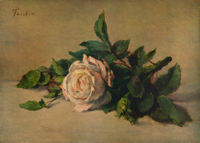Bílá růže, c1863, 1938 od Ignace Henri Jean Fantin-Latour